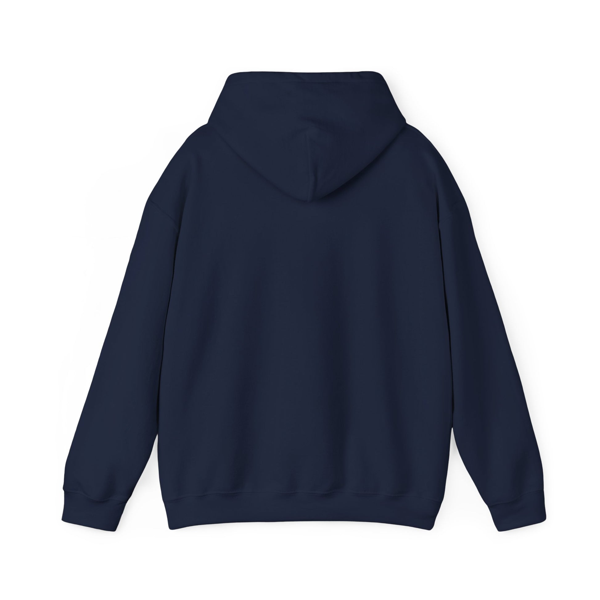 Music Vibes Hooded Sweatshirt - Feel the Beats, Unisex Hoodie, Comfortable Sweatshirt, Perfect Gift for Music Lovers, Casual Wear