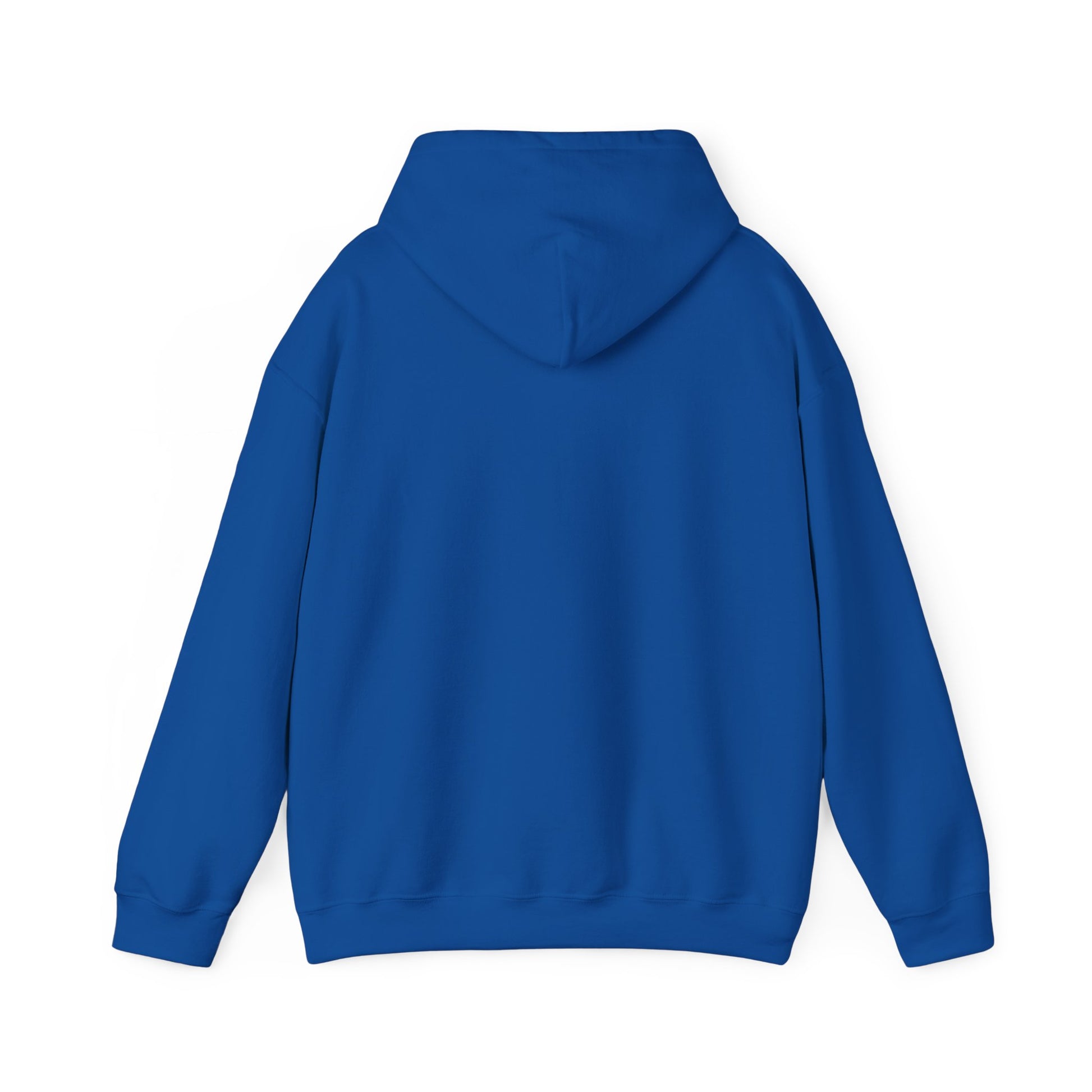 Music Vibes Hooded Sweatshirt - Feel the Beats, Unisex Hoodie, Comfortable Sweatshirt, Perfect Gift for Music Lovers, Casual Wear