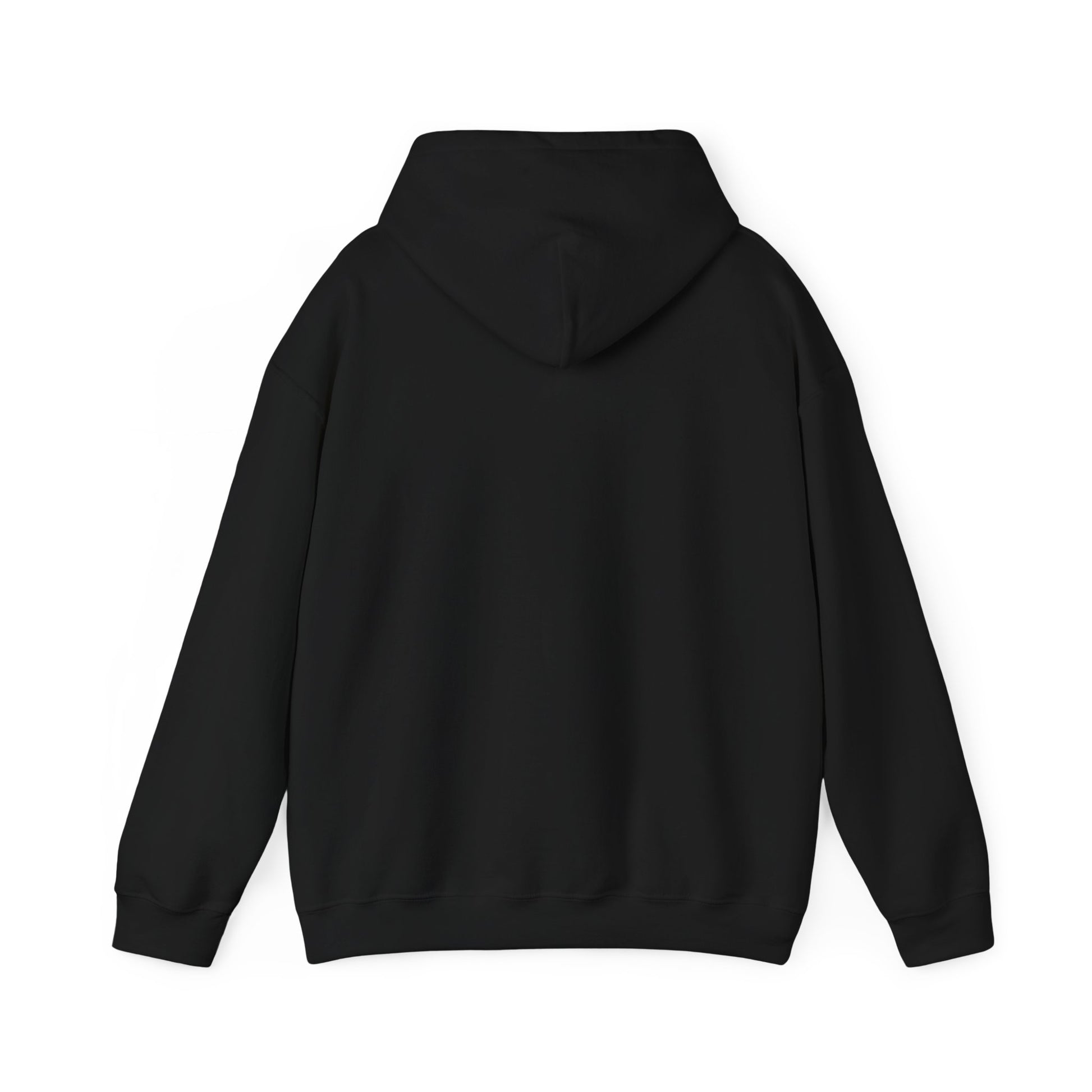Music Vibes Hooded Sweatshirt - Feel the Beats, Unisex Hoodie, Comfortable Sweatshirt, Perfect Gift for Music Lovers, Casual Wear
