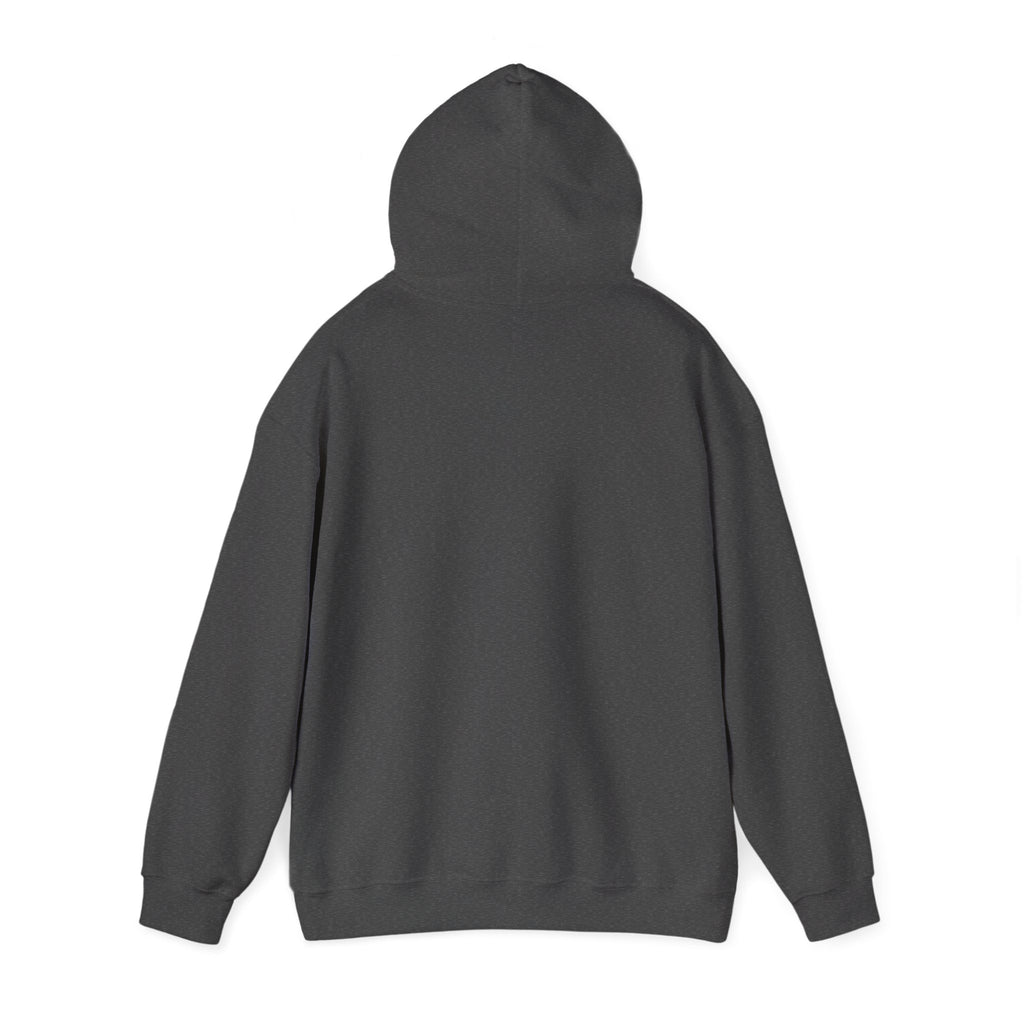 Music Vibes Hooded Sweatshirt - Feel the Beats, Unisex Hoodie, Comfortable Sweatshirt, Perfect Gift for Music Lovers, Casual Wear