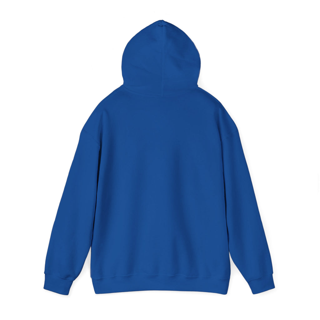 Music Vibes Hooded Sweatshirt - Feel the Beats, Unisex Hoodie, Comfortable Sweatshirt, Perfect Gift for Music Lovers, Casual Wear