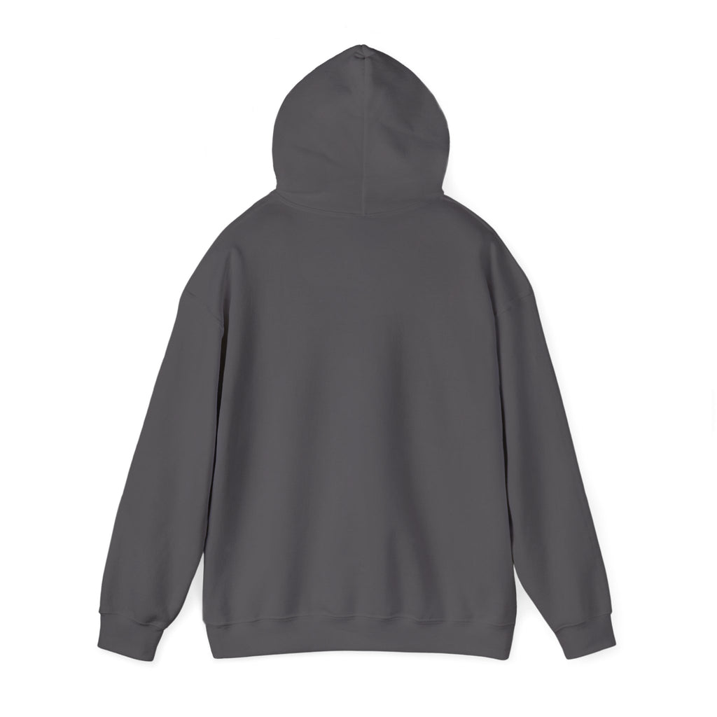Music Vibes Hooded Sweatshirt - Feel the Beats, Unisex Hoodie, Comfortable Sweatshirt, Perfect Gift for Music Lovers, Casual Wear