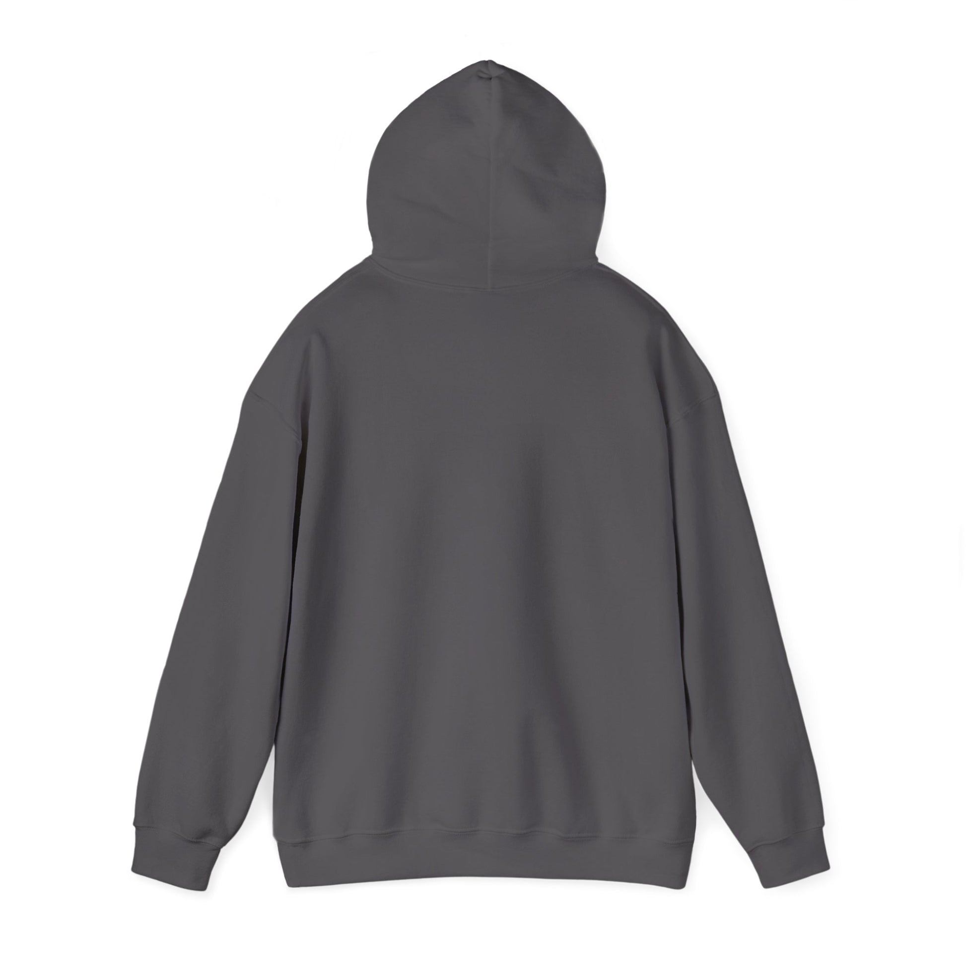 Music Vibes Hooded Sweatshirt - Feel the Beats, Unisex Hoodie, Comfortable Sweatshirt, Perfect Gift for Music Lovers, Casual Wear