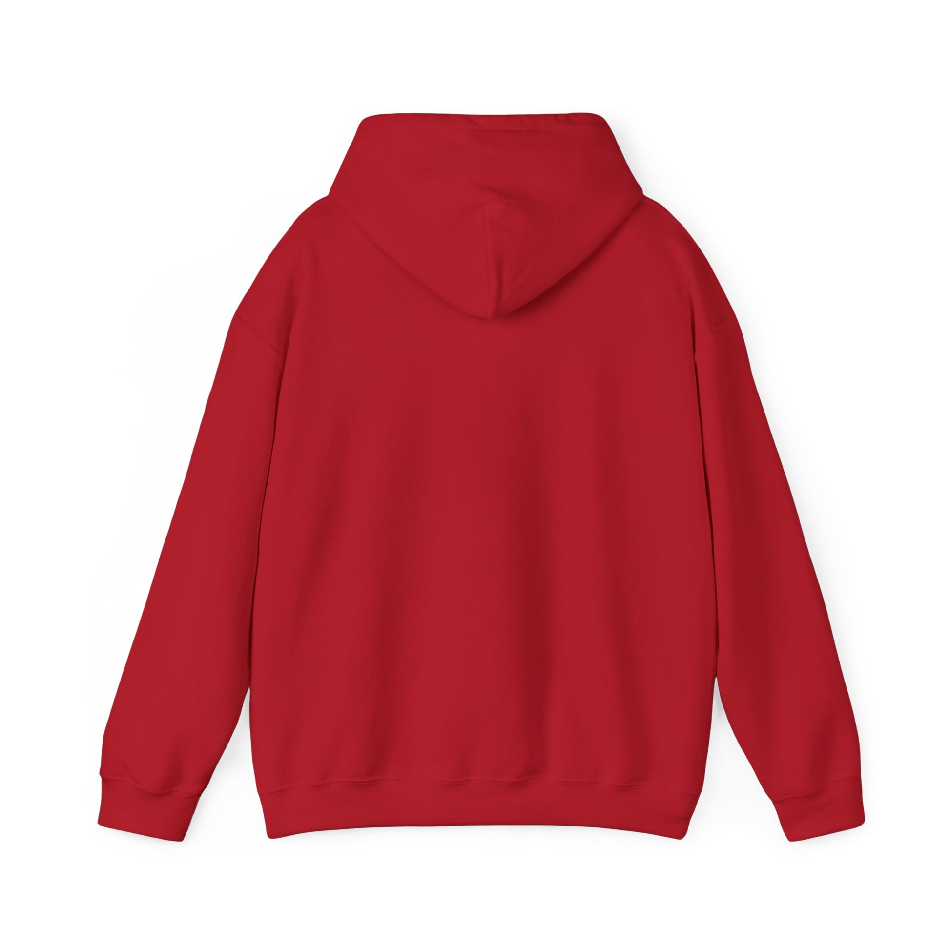 Music Vibes Hooded Sweatshirt - Feel the Beats, Unisex Hoodie, Comfortable Sweatshirt, Perfect Gift for Music Lovers, Casual Wear