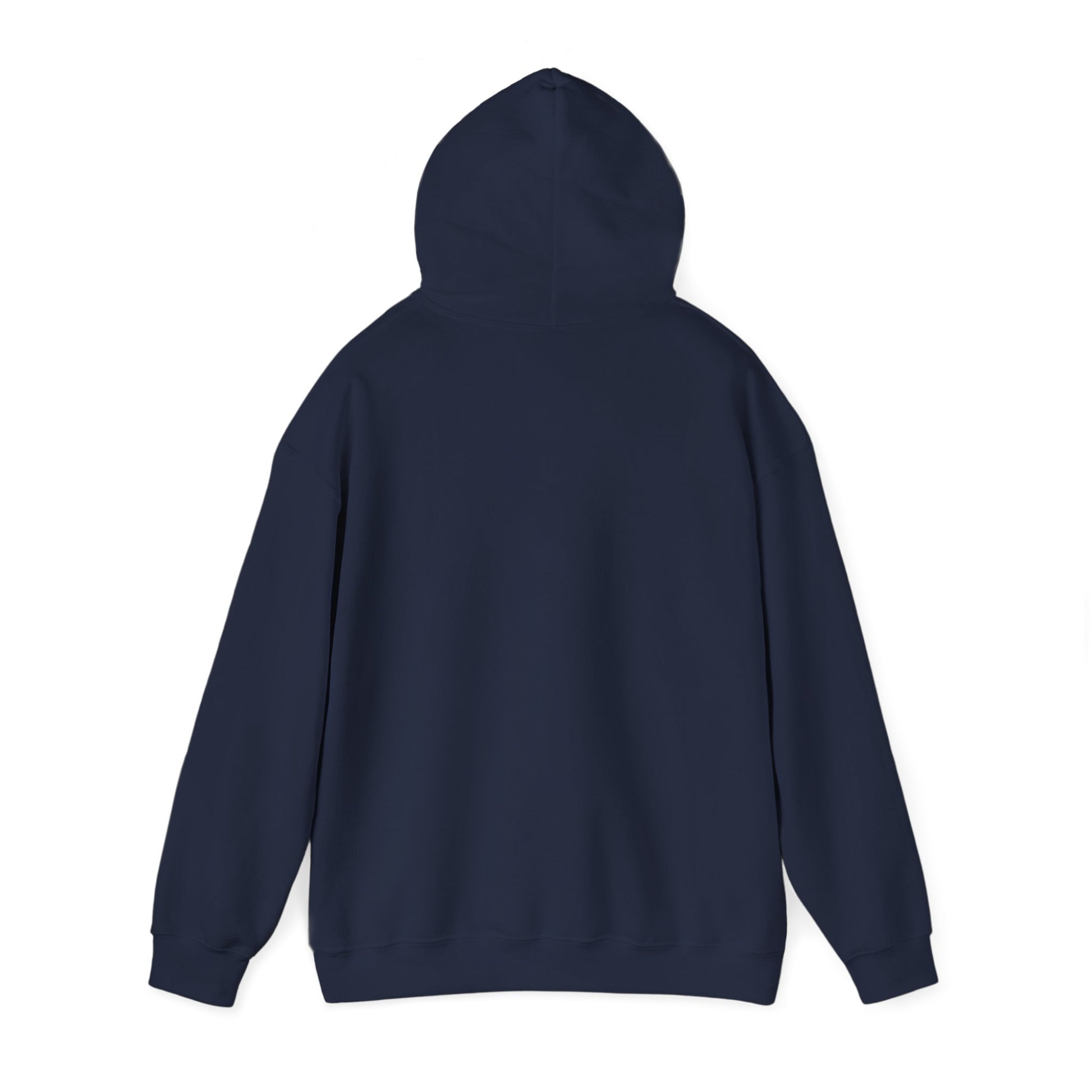 Music Vibes Hooded Sweatshirt - Feel the Beats, Unisex Hoodie, Comfortable Sweatshirt, Perfect Gift for Music Lovers, Casual Wear