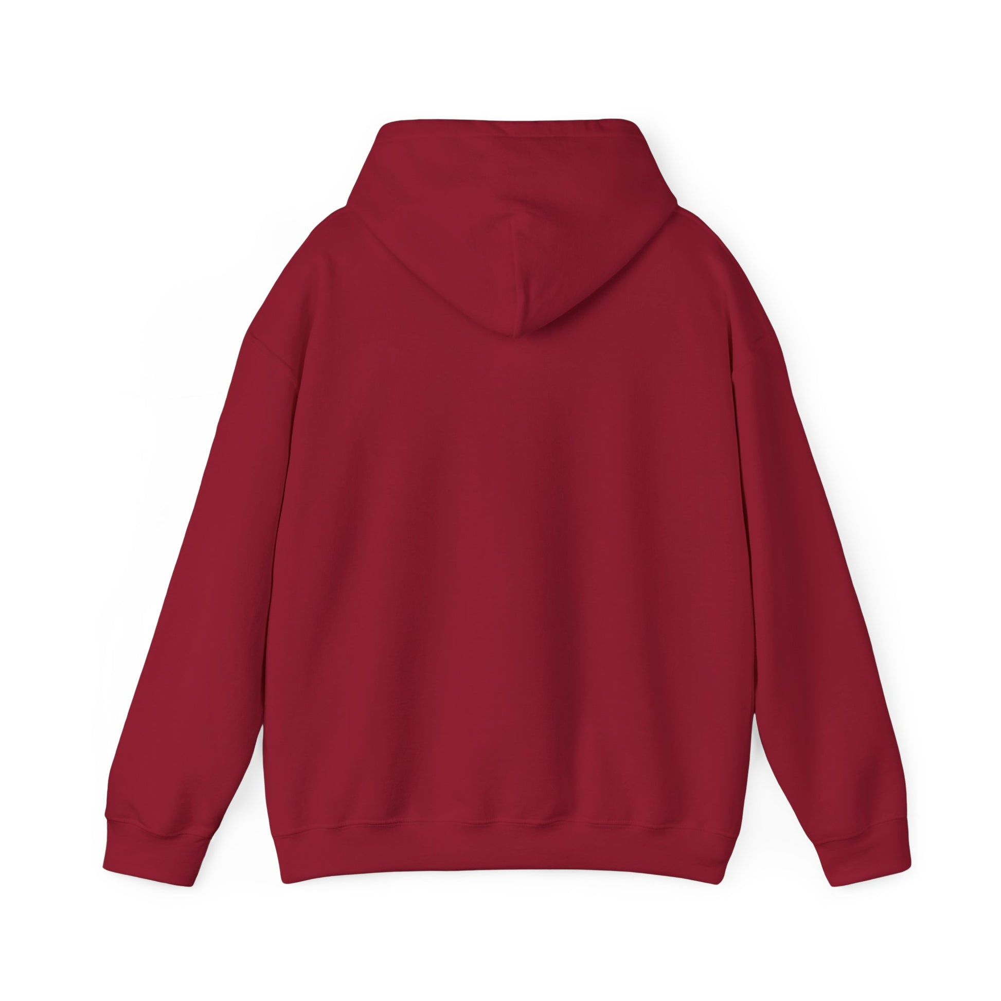 Music Vibes Hooded Sweatshirt - Feel the Beats, Unisex Hoodie, Comfortable Sweatshirt, Perfect Gift for Music Lovers, Casual Wear