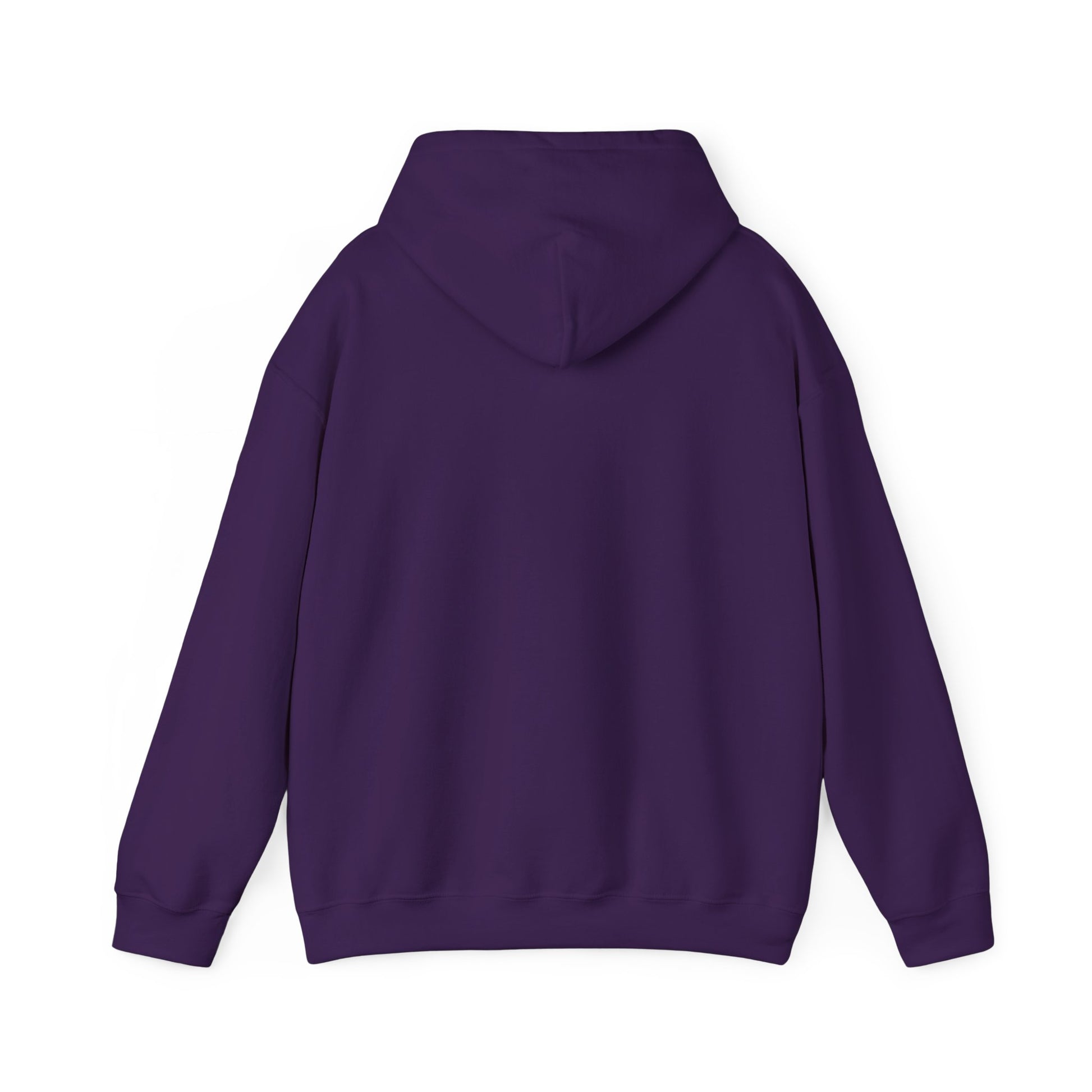 Music Vibes Hooded Sweatshirt - Feel the Beats, Unisex Hoodie, Comfortable Sweatshirt, Perfect Gift for Music Lovers, Casual Wear