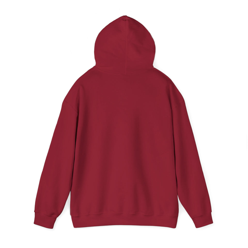 Music Vibes Hooded Sweatshirt - Feel the Beats, Unisex Hoodie, Comfortable Sweatshirt, Perfect Gift for Music Lovers, Casual Wear