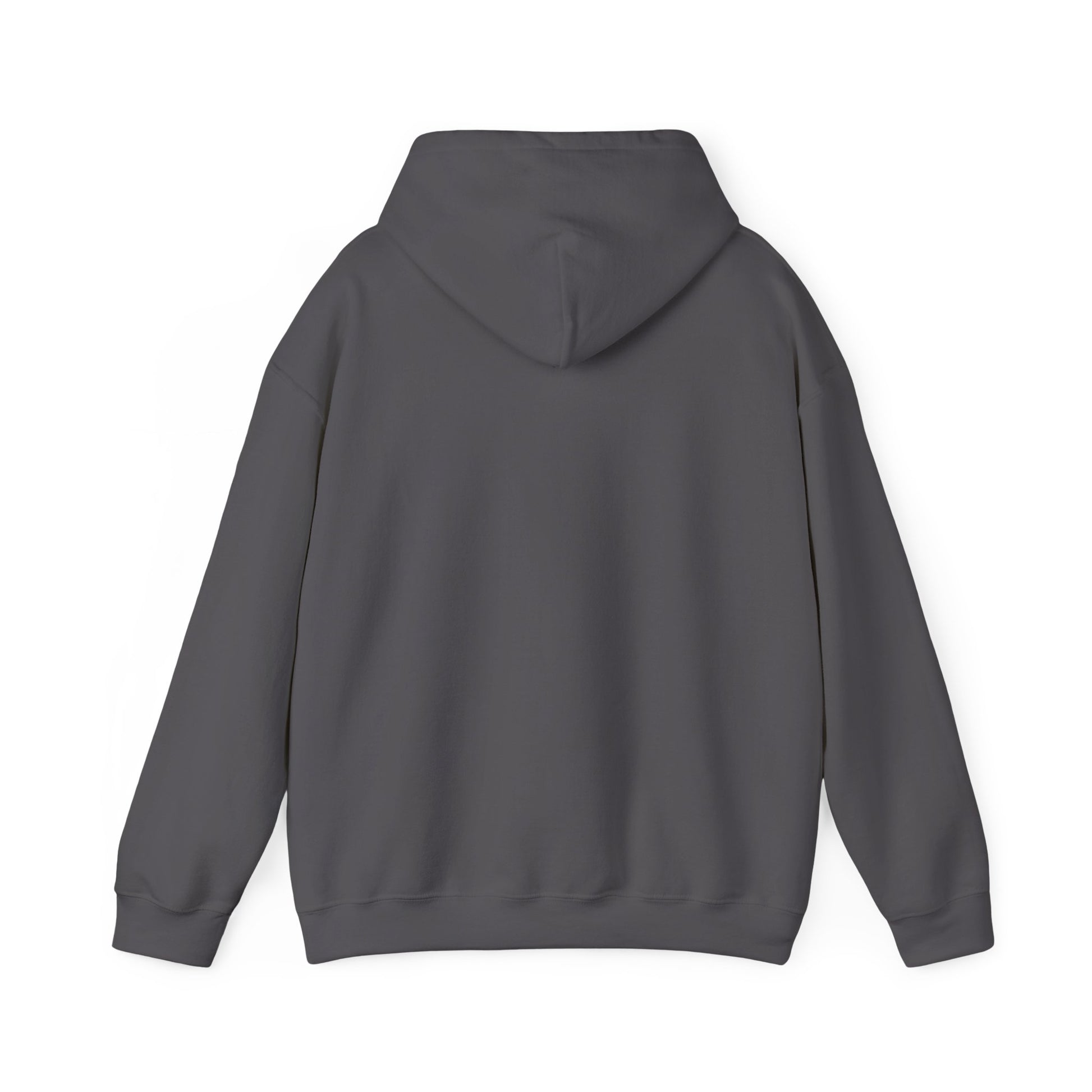 Music Vibes Hooded Sweatshirt - Feel the Beats, Unisex Hoodie, Comfortable Sweatshirt, Perfect Gift for Music Lovers, Casual Wear
