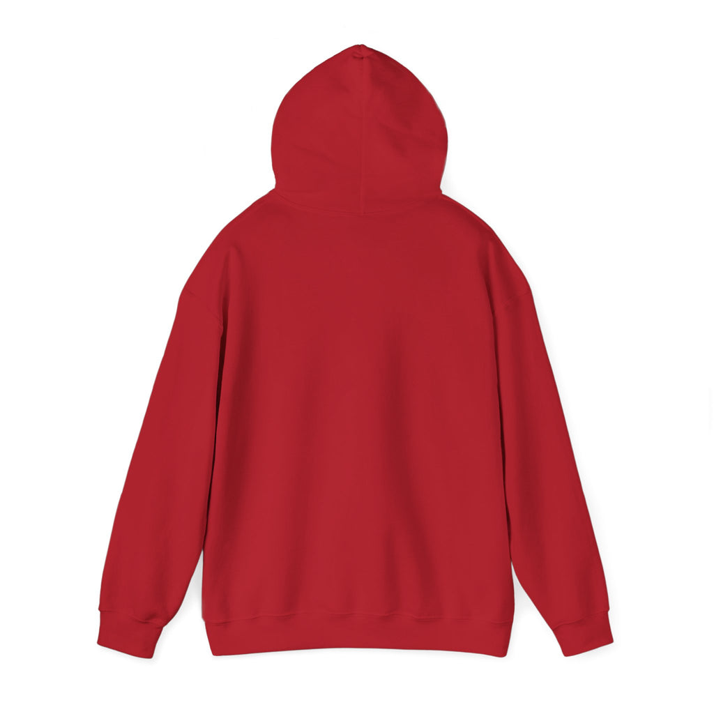 Music Vibes Hooded Sweatshirt - Feel the Beats, Unisex Hoodie, Comfortable Sweatshirt, Perfect Gift for Music Lovers, Casual Wear