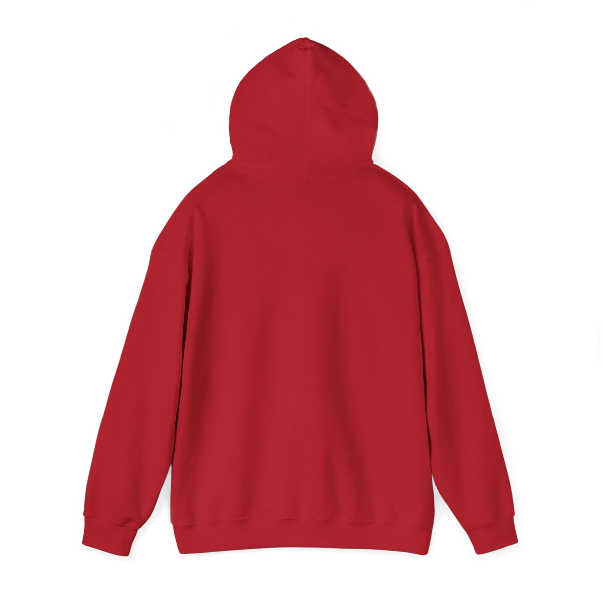 Music Vibes Hooded Sweatshirt - Feel the Beats, Unisex Hoodie, Comfortable Sweatshirt, Perfect Gift for Music Lovers, Casual Wear