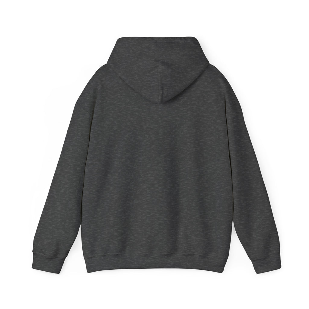 Music Vibes Hooded Sweatshirt - Feel the Beats, Unisex Hoodie, Comfortable Sweatshirt, Perfect Gift for Music Lovers, Casual Wear